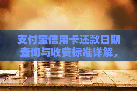 支付宝信用卡还款日期查询与收费标准详解，如何查看账单明细及信用报告
