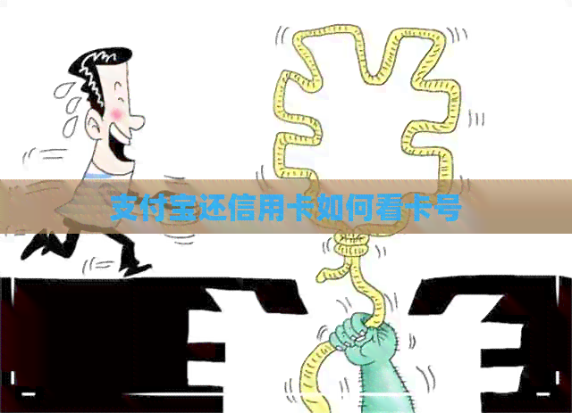 支付宝还信用卡如何看卡号