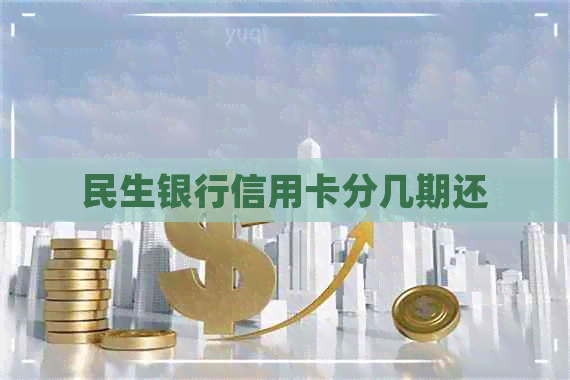 民生银行信用卡分几期还