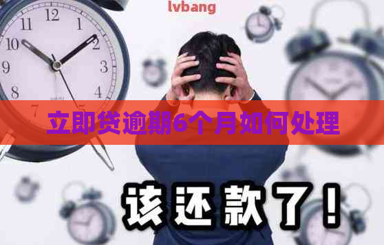 立即贷逾期6个月如何处理