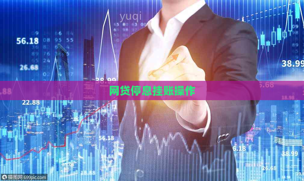 网贷停息挂账操作