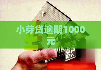 小芽贷逾期1000元