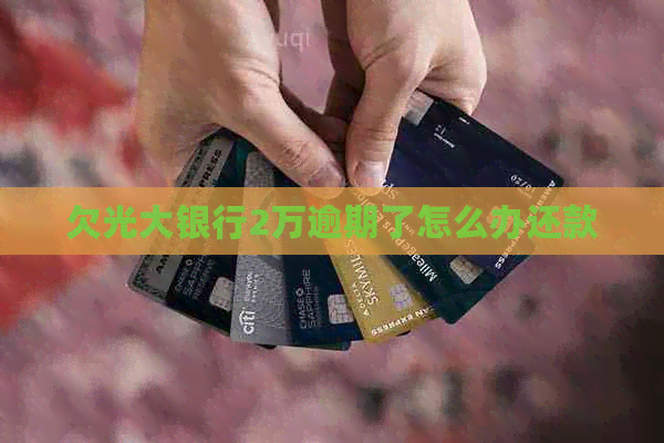 欠光大银行2万逾期了怎么办还款