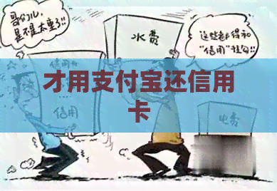 才用支付宝还信用卡 才用支付宝还信用卡