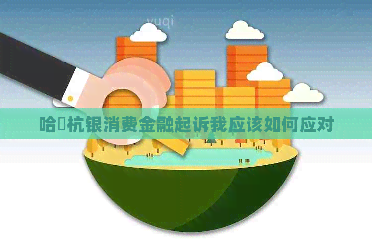 哈啰杭银消费金融起诉我应该如何应对