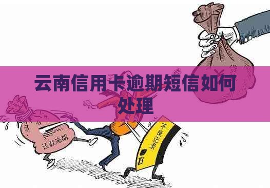 云南信用卡逾期短信如何处理