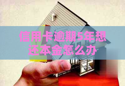 信用卡逾期5年想还本金怎么办