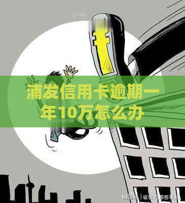 浦发信用卡逾期一年10万怎么办