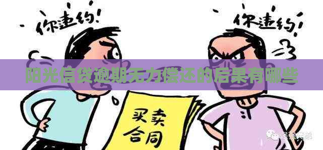 阳光信贷逾期无力偿还的后果有哪些
