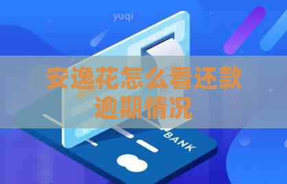 安逸花怎么看还款逾期情况