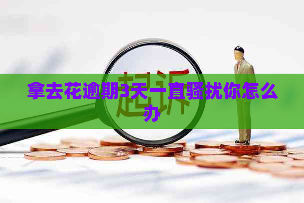 拿去花逾期3天一直你怎么办