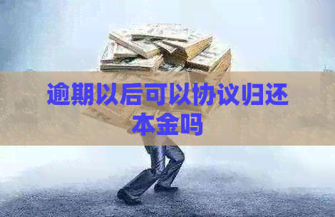 逾期以后可以协议归还本金吗