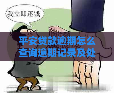 平安贷款逾期怎么查询逾期记录及处罚方式