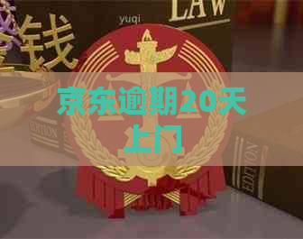 京东逾期20天上门