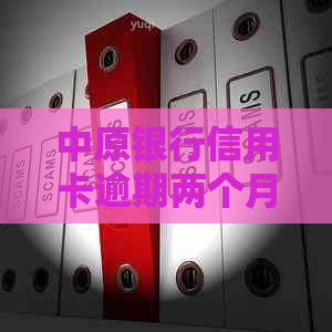 中原银行信用卡逾期两个月如何处理