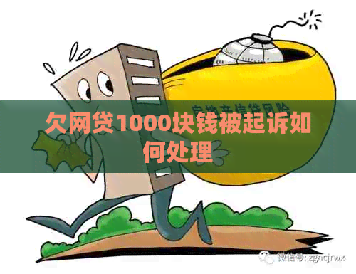欠网贷1000块钱被起诉如何处理