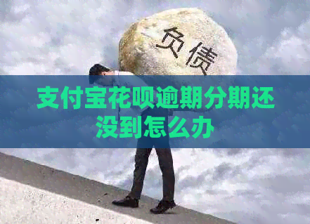 信用卡白条逾期分期还没到怎么办