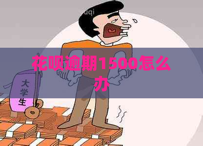 花呗逾期1500怎么办
