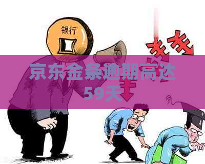 京东金条逾期高达59天