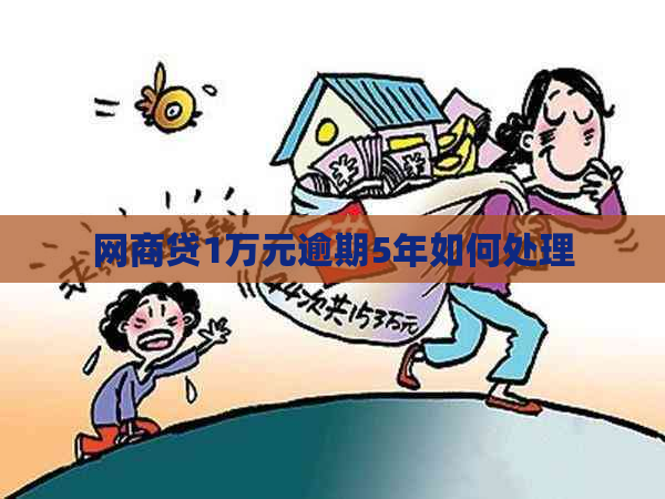 网商贷1万元逾期5年如何处理