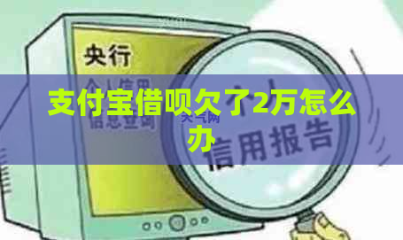 支付宝借呗欠了2万怎么办