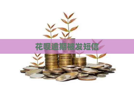 花呗逾期被发短信