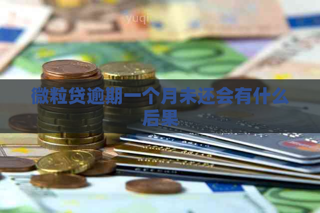 微粒贷逾期一个月未还会有什么后果