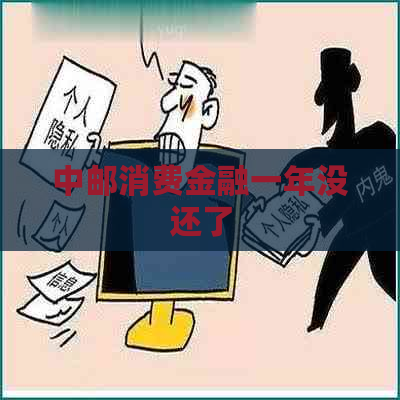 中邮消费金融一年没还了