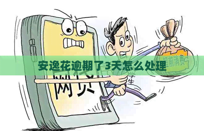 安逸花逾期了3天怎么处理