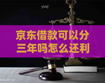 京东借款可以分三年吗怎么还利息更少