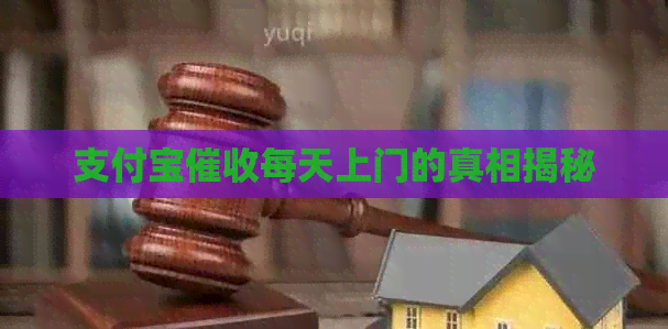 支付宝每天上门的真相揭秘