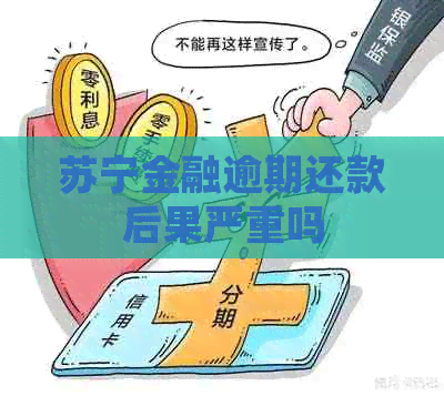 苏宁金融逾期还款后果严重吗