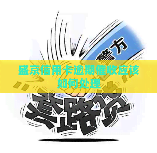 盛京信用卡逾期应该如何处理