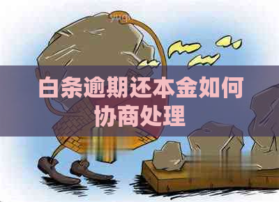 白条逾期还本金如何协商处理