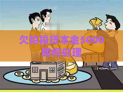 欠本金5000如何处理