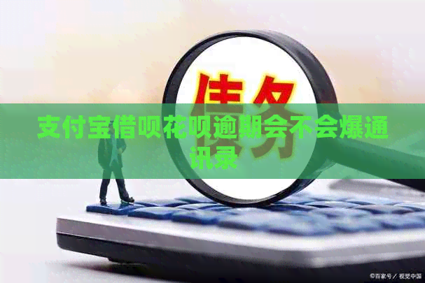 信用卡信用卡白条逾期会不会爆通讯录