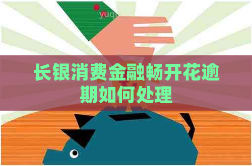 长银消费金融畅开花逾期如何处理 长银消费金融畅开花逾期如何处理