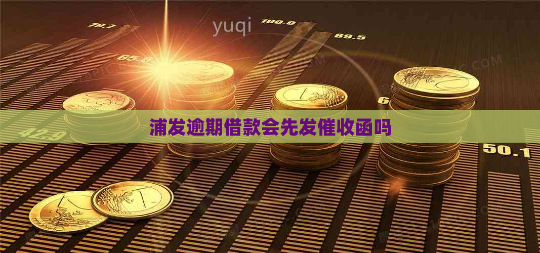 浦发逾期借款会先发函吗