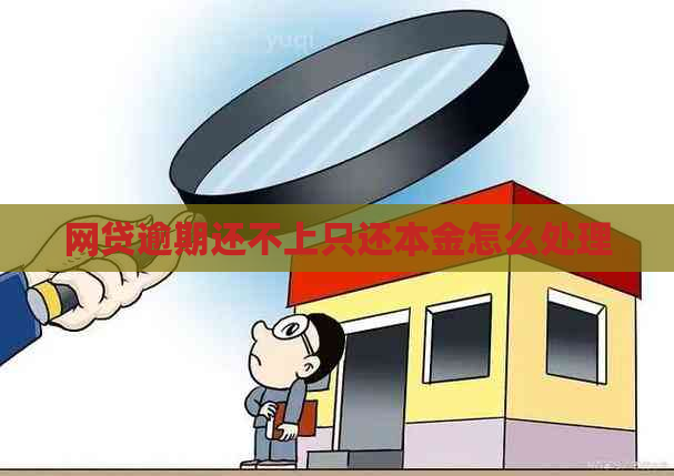 网贷逾期还不上只还本金怎么处理