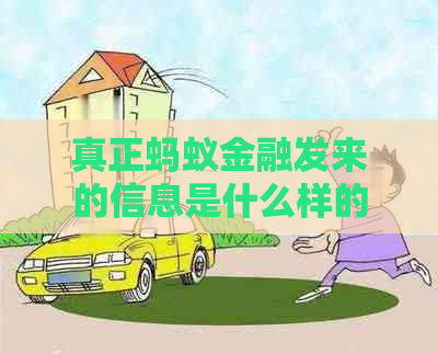真正蚂蚁金融发来的信息是什么样的