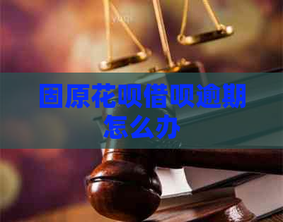 固原花呗借呗逾期怎么办