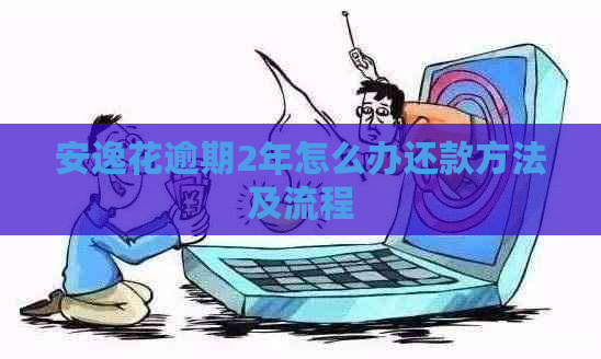 安逸花逾期2年怎么办还款方法及流程