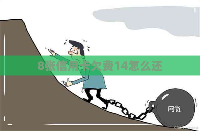 8张信用卡欠费14怎么还