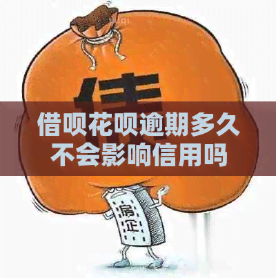 信用卡白条逾期多久不会影响信用吗