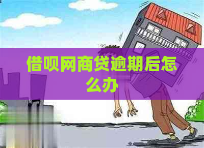 借呗网商贷逾期后怎么办