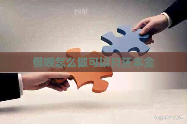 信用卡怎么做可以只还本金