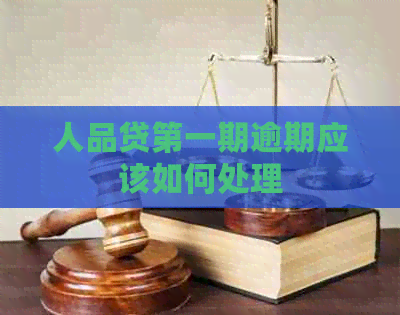 人品贷之一期逾期应该如何处理