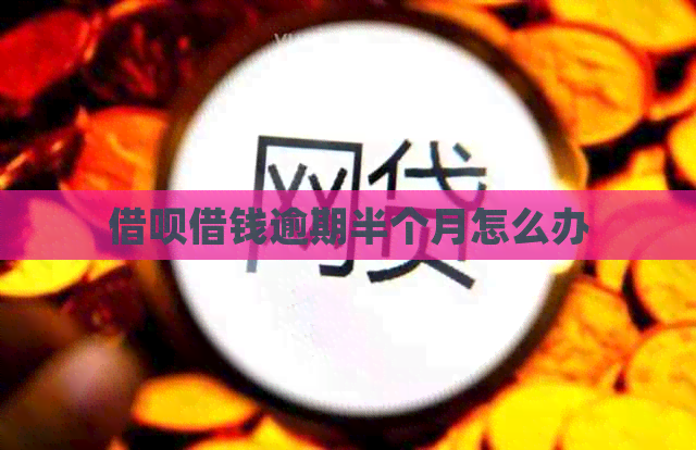 信用卡借钱逾期半个月怎么办