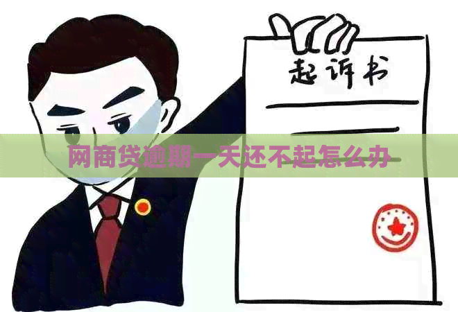 白条贷逾期一天还不起怎么办