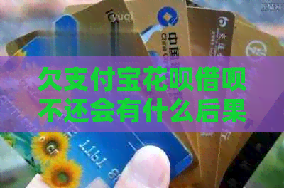 欠信用卡白条信用卡不还会有什么后果